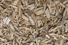 biomass boilers Cooksland